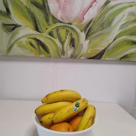 Apartamento Vida Mediterranea Puerto de la Cruz (Tenerife)