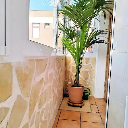 Apartmán Apartamento Vida Mediterranea