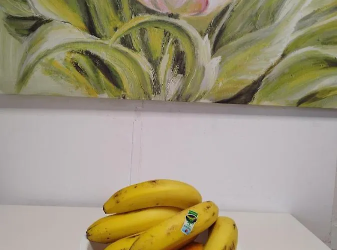 Apartamento Vida Mediterranea Puerto de la Cruz (Tenerife)